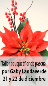 taller flor de pascua